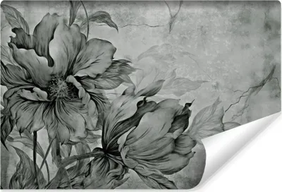 Zdjęcie produktu dla Fototapeta dekoracja ścienna Nowoczesna Abstrakcyjna Beton Kwiaty Natura 3D do Salonu 405x270cm