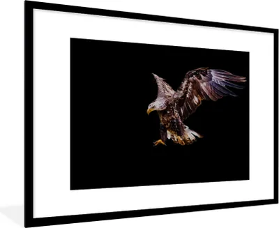 Produktbild von MuchoWow® MuchoWow® Gerahmtes Poster Adler - Vogel - Federn 90x60 cm - Poster mit zchwarzem Bilderrahmen - Wanddekoration - Fotos