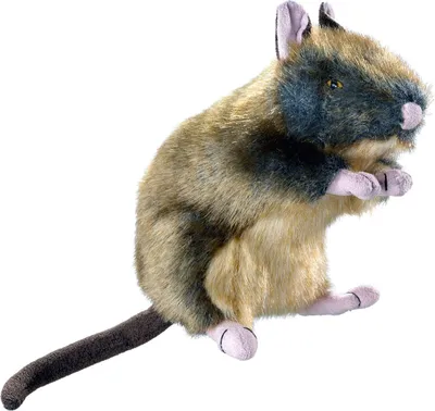 Produktbild von Hunter Hundespielzeug Wildlife Ratte M