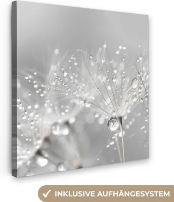 Produktbild von MuchoWow® - Leinwandbilder - Löwenzahn - Wassertropfen - Stilleben - Modern, Wandbild, Wanddeko Bilder Wohnzimmer, 50x50cm