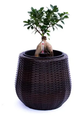 Produktbild von Elegant Einrichten | Pflanzkübel | Polyrattan | rund konisch | D35xH32cm | coffee braun