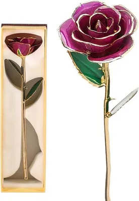 Imagen del producto de Oro de 24 quilates, flores naturales bañadas en oro, regalo ideal para cumpleaños y aniversarios, un regalo sostenible y personal para mujeres, que florece para siempre y es atemporal