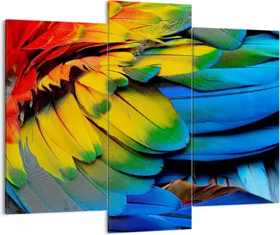 Produktbild von Bild auf Leinwand - Leinwandbild - Feder Papagei Vogel - 130x100cm - Wand Bild - Wanddeko - Leinwanddruck - Bilder - Kunstdruck - Wanddekoration - Leinwand bilder - Wandkunst - CB130x100-3428