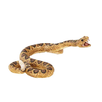 Image de Mojo Wildlife, Ratelslang - 387268