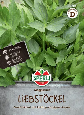 Produktbild von SPERLI Liebstocksamen Maggikraut Levisticum officinale 100 Pflanzen