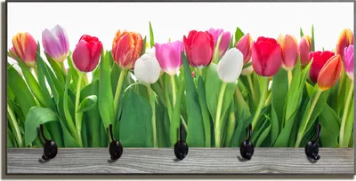 Produktbild von Wallario Flurgarderobe Wandgarderobe aus Holz, mit 5 Haken, Größe 80 x 40 cm, Motiv Rote  weiße und pinke Tulpen im Frühling