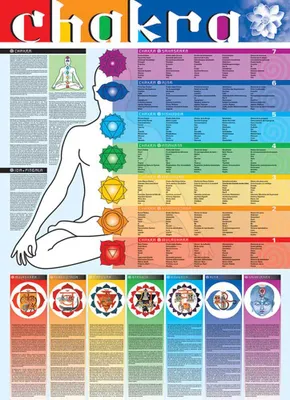 Produktbild von Joga Yoga - Chakra Poster auf Bilderdruckpapier im Format 68x98 cm Edition 2019