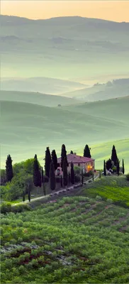 Produktbild von Türtapete Türposter Toskana in Italien - Größe: 93 x 205 cm