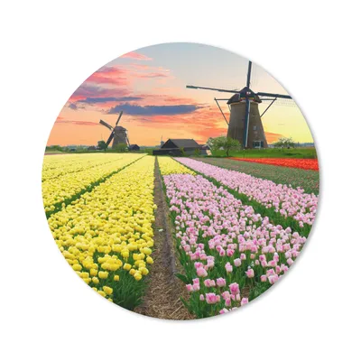 Produktbild von MuchoWow® Mauspad Mousepad Windmühle - Tulpen - Blumen - Niederlande 20x20 cm - Mousepads - Maus Mat - Pad - Mausunterlage - Schreibtischmatte