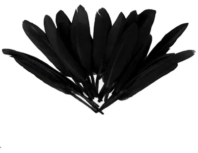 20 Entenfedern , 9-14 cm , schwarz