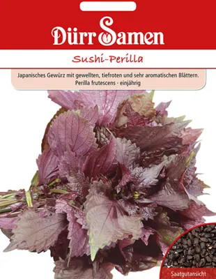 Produktbild von Dürr-Samen - Sushi-Perilla - Saatgut - 4364