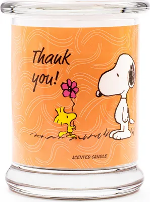 Image de Thank you - Bougie parfumée 250g de Peanuts