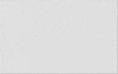Produktbild von Erfurt Vliesfaser 1004309 Protect 201 10,05x0,53 m