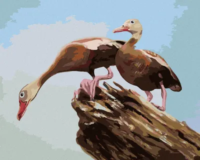Produktbild von Zuty - Malen nach Zahlen - ENTEN AUF EINEM BAUMSTAMM (D. RUSTY RUST), 40x50 cm, mit Keilrahmen (bereits gespannt)