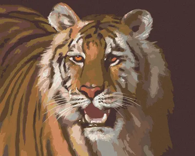 Produktbild von Zuty - Malen nach Zahlen - TIGER PORTRÄT (D. RUSTY RUST), 40x50 cm, mit Keilrahmen (bereits gespannt)