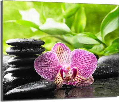 Obrázek produktu pro Skleněná deska 60x52 s keramickým krytem varné desky Splashback Deco Prkénko na krájení, orchidejově fialová