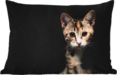 Produktbild von MuchoWow® Outdoor Kissen - Katze - Schwarz - Porträt - 60x40 cm - Wetterfest - Lounge Kissen - Zierkissen - Kissen für Innenräume