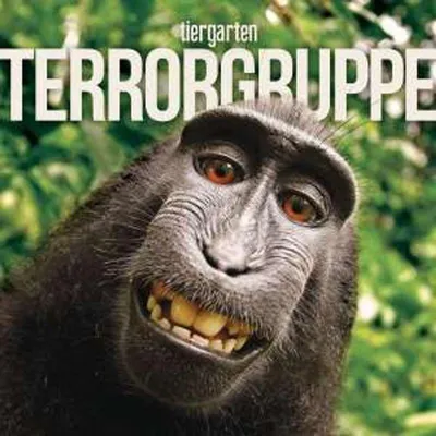 Obrázok produktu pre Terrorgruppe: Tiergarten - Destiny Records - (LP / T)