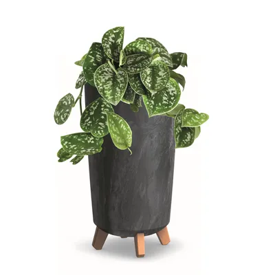 Produktbild von Blumentopf mit Füßen Hoh Pflanzkübe D 20 cm Anthrazit Kunststoff Töpfe Beton Optik Übertöpfe Geldbaum Kakteen Gummibaum
