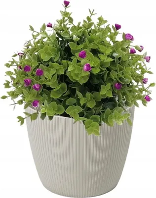 Image de Boîtier plastique pot taupe 14 cm Magnolia Jumper