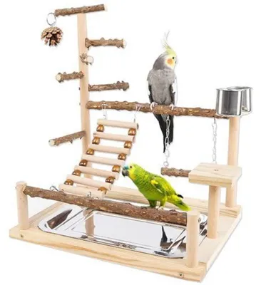 Image de Support en bois pour oiseaux, avec échelle, balançoire, mangeoire et jouets à mâcher, adapté aux petits et moyens oiseaux
