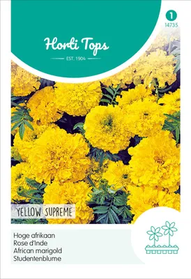 Zdjęcie produktu dla "Studentenblume Yellow Supreme" | Nasiona kwiatów "Studentenblume" firmy Hortitops