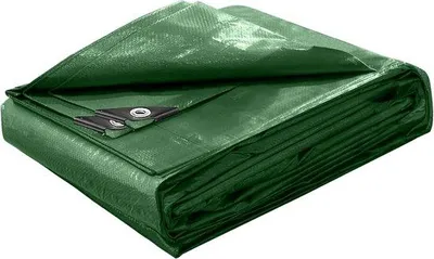 Productafbeelding van Waterdichte Afdekzeil 5 x 6 m met Oogjes 100 g/m² Scheurbestendig en UV-bestendig voor Camping