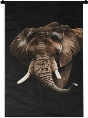 Produktbild von MuchoWow® Wandteppich Wandbehang Elefant - Schwarz - Tiere 90x135 cm Tapisserie Dekoration Wandtuch - Baumwolle - Wandskulptur