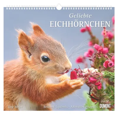Produktbild von Geliebte Eichhörnchen 2027