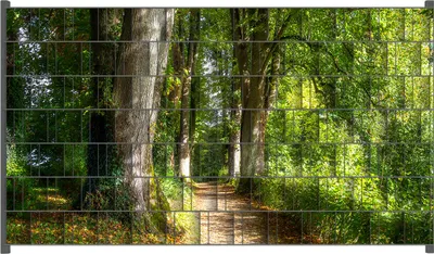 Produktbild von Wallario Zaunsichtschutz mit Motiv Weg im Sonnenlicht für Ein- und Doppelstabmatten Zäune in der Größe 250 x 140 cm