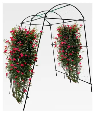 Produktbild von Metall-Rosenbogen für Kletterpflanzen 115 X 183 X 220 cm