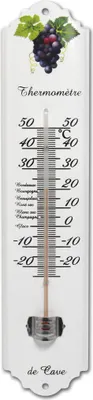 Image de Thermomètre intérieur ou extérieur INOVALLEY 7100