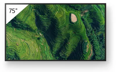 Produktbild von Sony BZ35P, Digital Signage Flachbildschirm, 190,5 cm (75"), LED, 3840 x 2160 Pixel, WLAN, 24/7
