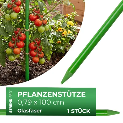 Zdjęcie produktu dla Słupek CountryYard S279, 180 cm, 7,9 mm, zielony, słupek podporowy, włókno szklane
