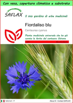 Immagine prodotto di SAFLAX Garden to go - Fiordaliso blu - 27000 semi - Centaurea