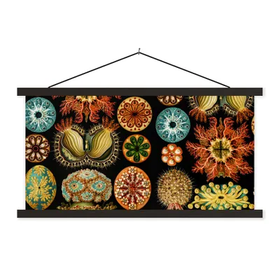 Produktbild von MuchoWow® Textilposter Vintage - Ernst Haeckel - Meerestier - Natur - Meer - Kunst 90x45 cm mit schwarzem Rahmen - Klemmleisten