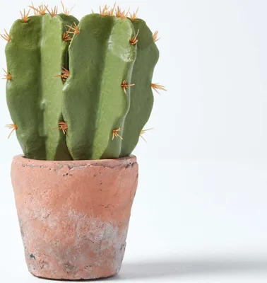 Obrázek produktu pro HOMESCAPES Malý umělý kaktus v terakotovém květináči, výška 17 cm