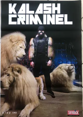 Image de Kalash Criminel - Tour 2019 - AFFICHE / POSTER - 70x100cm