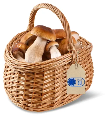 Productafbeelding van Creative Home Grote Picknickmand met Handvat, 43 x 33 x 40 cm, Natuurlijk