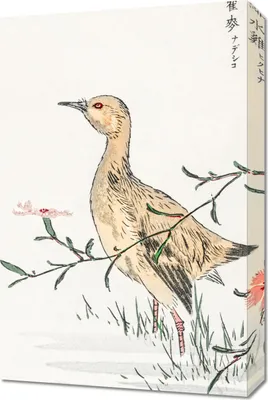 Immagine prodotto di Quadro 40x60 cm Redshank, Kashu giapponese vintage per il salotto
