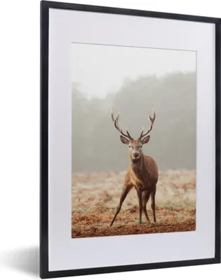 Produktbild von MuchoWow® MuchoWow® Gerahmtes Poster Hirsche - Wald - Nebel 30x40 cm - Poster mit zchwarzem Bilderrahmen - Wandposter Schlafzimmer