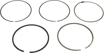 Immagine prodotto di Fasce Elastiche Vw 1,4B 76,50 Std