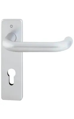 Zdjęcie produktu dla Zestaw HOPPE FS Paris FS-58/202K/138F Alu.F1 D/K TS 40-55mm PZ rd DIN L/R - 649761