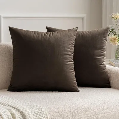 Productafbeelding van Set van 2 kussenhoezen, decoratieve kussens, sofa kussens, kussenhoezen met verborgen rits, 40 x 40 cm, donkerbeige