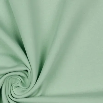 0,5m Bio Sweat GOTS Meterware mint
