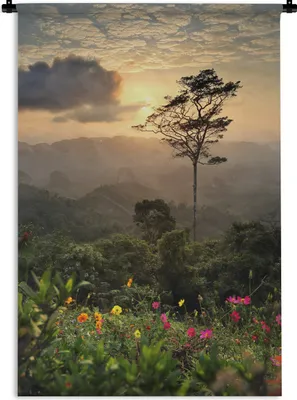 Produktbild von MuchoWow® Wandteppich Wandbehang Blumen - Landschaft - Ansichten 120x180 cm Tapisserie Dekoration Wandtuch - Schlafzimmer - Dekorationen für das Haus