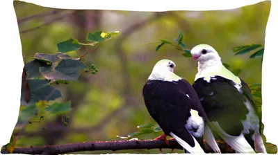 Produktbild von MuchoWow® Zierkissen Sofakissen Wohnzimmer Dekokissen 50x30 cm Vögel - Zweig - Blätter - Wohnzimmerdekoration - Polster mit Photo