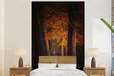 Produktbild von MuchoWow® Fototapete für Wohnzimmer oder Schlafzimmer Wandtapete Vinyl Motivtapete Wald - Weg - Herbst - Rot - 145x220 cm - Wanddekoration