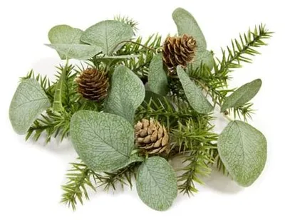 Produktbild von Eucalyptus-Tischdeko mit Tannenzapfen und Tanne 20 cm - Einheitsgröße
