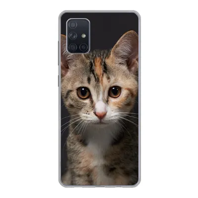 Produktbild von MuchoWow® Handyhülle Schutzhülle Hülle für Samsung Galaxy A71 Katze - Schwarz - Porträt Silikon Softcase Handy Hülle - Kartenbesitzer